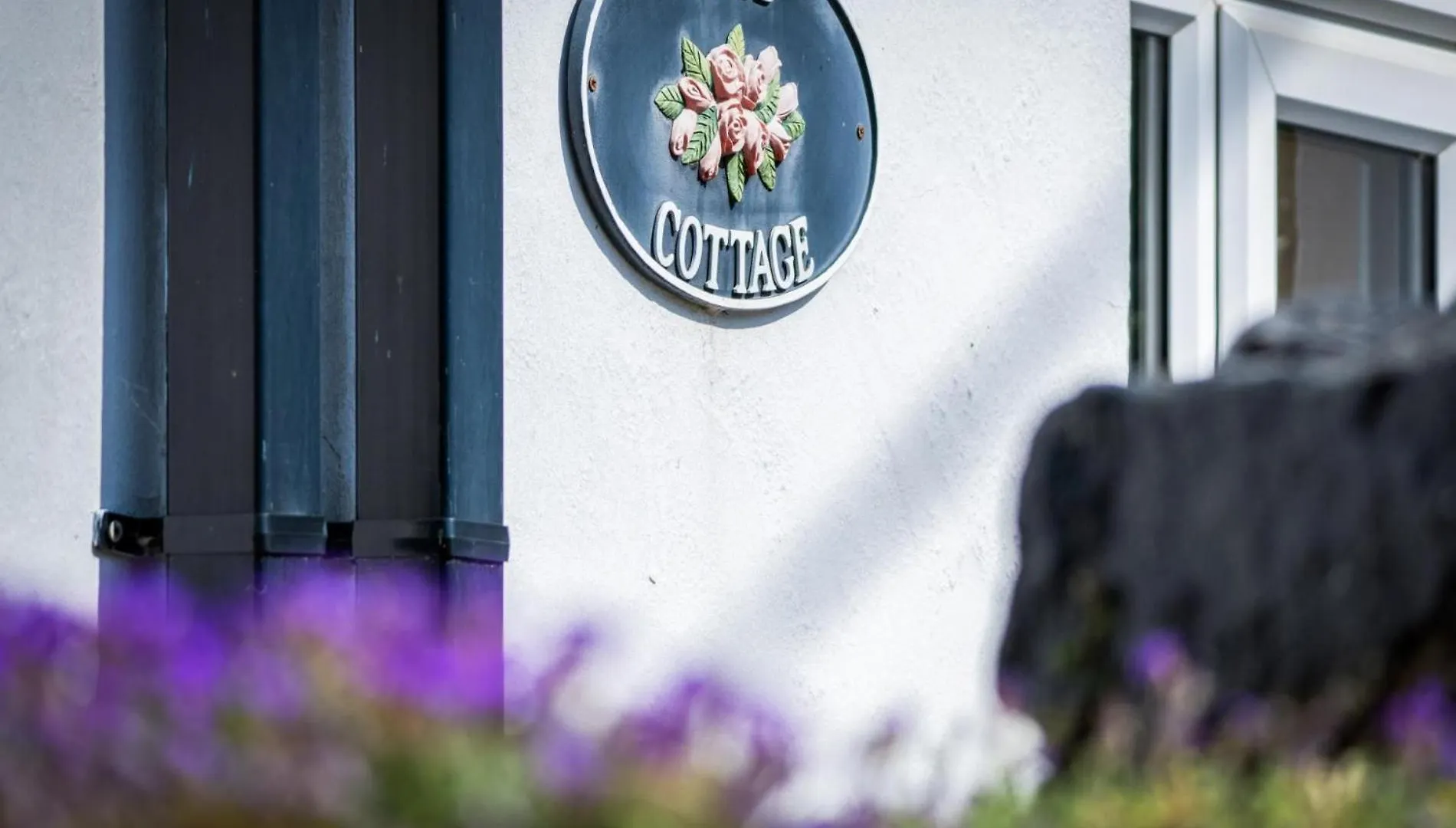 Holiday home Rose Cottage - 3 Bedroom Cottage - Parkmill Swansea United Kingdom